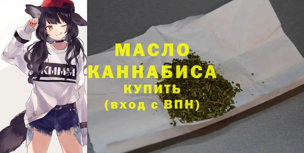 дживик Абинск