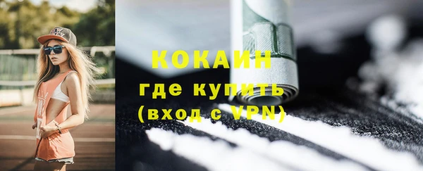 крисы Абаза