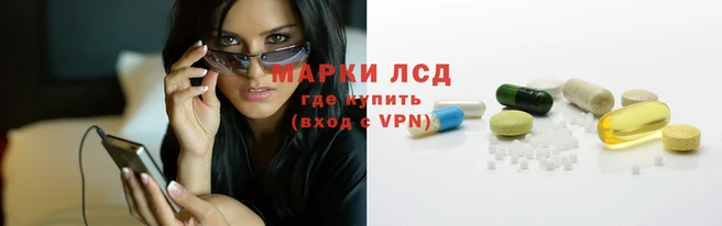 крисы Абаза