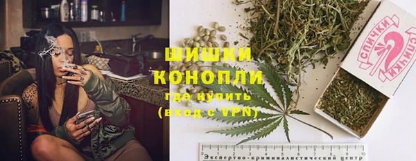 крисы Абаза