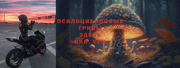 дживик Абинск