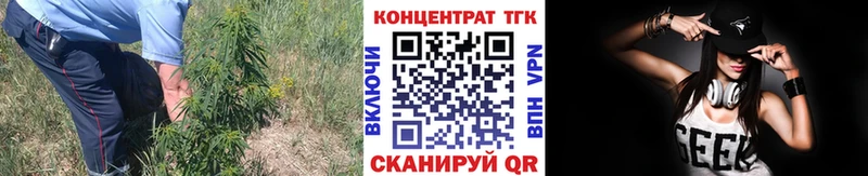 Дистиллят ТГК THC oil  купить   Брюховецкая 